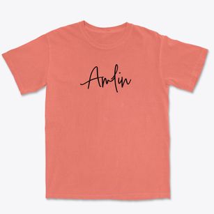 Amlin Ohio Freestyle Premium Heavyweight T-shirt