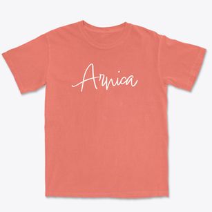 Arnica Missouri Freestyle Premium Heavyweight T-shirt