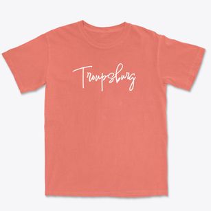 Troupsburg New York Freestyle Premium Heavyweight T-shirt