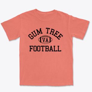 Gum Tree Virginia Football Premium Heavyweight T-shirt