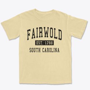 Fairwold South Carolina Classic Established Premium Heavyweight T-shirt