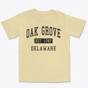Oak Grove Delaware Classic Established Premium Heavyweight T-shirt