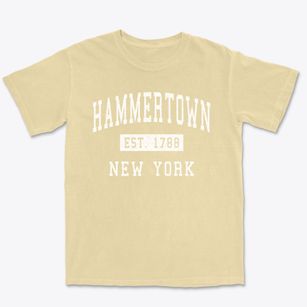 Hammertown New York Classic Established Premium Heavyweight T-shirt