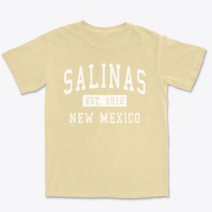 Salinas New Mexico Classic Established Premium Heavyweight T-shirt