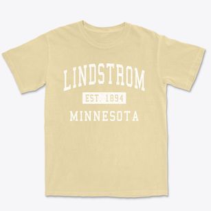 Lindstrom Minnesota Classic Established Premium Heavyweight T-shirt