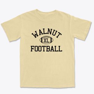 Walnut School Classic Football Premium Heavyweight T-shirt