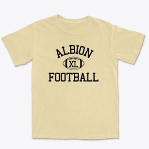 Albion Senior High School Classic Football Premium Heavyweight T-shirt