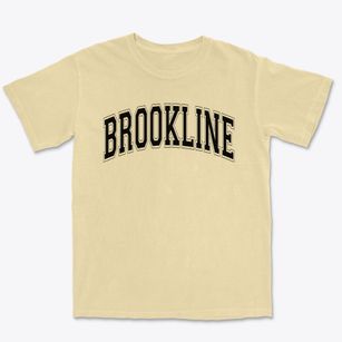 Brookline Elementary School Varsity Arch Premium Heavyweight T-shirt
