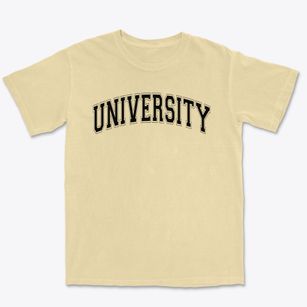 University Of Houston Charter School Varsity Arch Premium Heavyweight T-shirt