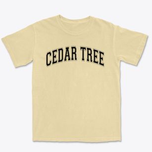 Cedar Tree Classical Christian School Varsity Arch Premium Heavyweight T-shirt