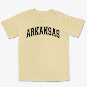 Arkansas Elementary School Varsity Arch Premium Heavyweight T-shirt