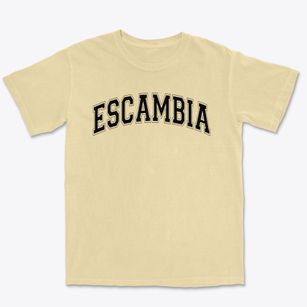 Escambia Academy Varsity Arch Premium Heavyweight T-shirt