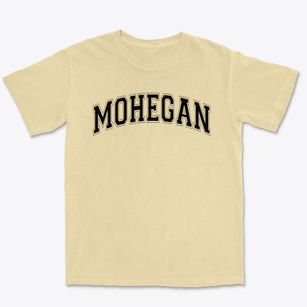 Mohegan Elementary School Varsity Arch Premium Heavyweight T-shirt