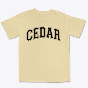 Cedar Elementary School Varsity Arch Premium Heavyweight T-shirt
