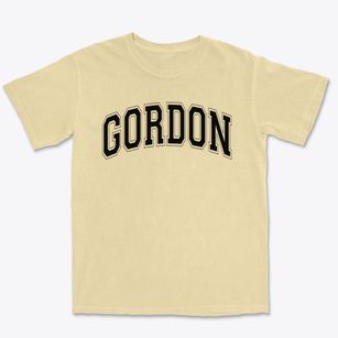 Gordon Elementary School Varsity Arch Premium Heavyweight T-shirt