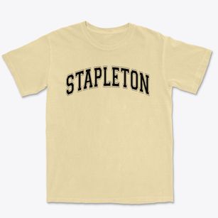 Stapleton Elementary School Varsity Arch Premium Heavyweight T-shirt