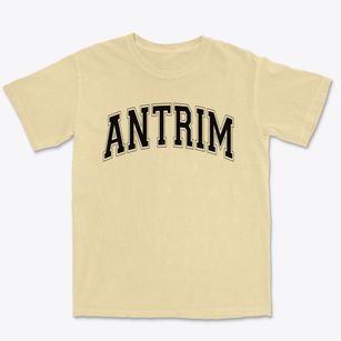 Antrim Elementary School Varsity Arch Premium Heavyweight T-shirt