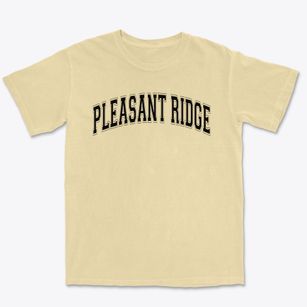Pleasant Ridge Elementary School Varsity Arch Premium Heavyweight T-shirt