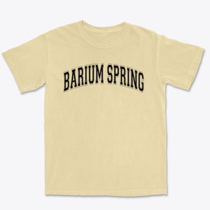 Barium Spring Preadolescent School Varsity Arch Premium Heavyweight T-shirt