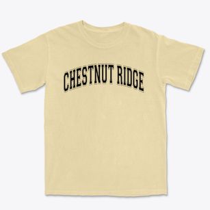Chestnut Ridge Elementary School Varsity Arch Premium Heavyweight T-shirt