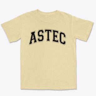 Astec Charter Middle School Varsity Arch Premium Heavyweight T-shirt