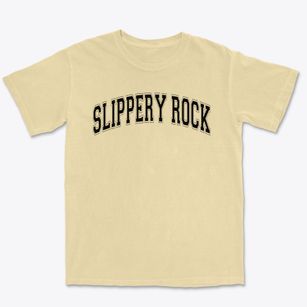 Slippery Rock Area Elementary School Varsity Arch Premium Heavyweight T-shirt
