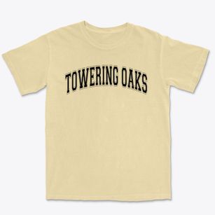 Towering Oaks Christian School Varsity Arch Premium Heavyweight T-shirt