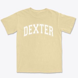 Dexter Christian Academy Varsity Arch Premium Heavyweight T-shirt