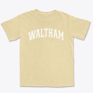 Waltham High School Varsity Arch Premium Heavyweight T-shirt