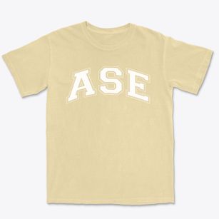 Albuquerque School Of Excellence Varsity Arch Premium Heavyweight T-shirt