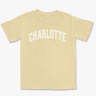 Charlotte Lutheran School Varsity Arch Premium Heavyweight T-shirt