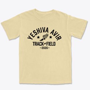 Yeshiva Avir Yakov Girls Track and Field Premium Heavyweight T-shirt