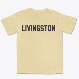 Livingston Louisiana Classic Block Premium Heavyweight T-shirt