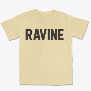 Ravine Pennsylvania Classic Block Premium Heavyweight T-shirt