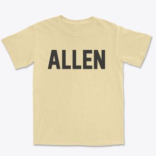 Allen New York Classic Block Premium Heavyweight T-shirt