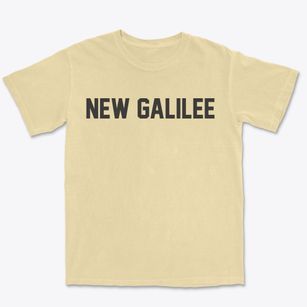 New Galilee Pennsylvania Classic Block Premium Heavyweight T-shirt