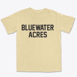 Bluewater Acres New Mexico Classic Block Premium Heavyweight T-shirt
