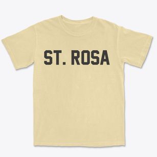 St. Rosa Minnesota Classic Block Premium Heavyweight T-shirt