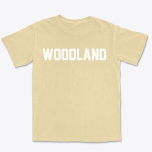 Woodland Illinois Classic Block Premium Heavyweight T-shirt