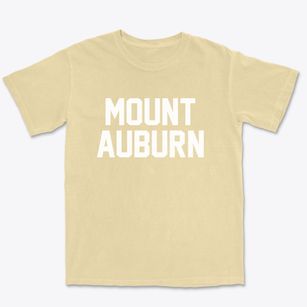 Mount Auburn Indiana Classic Block Premium Heavyweight T-shirt