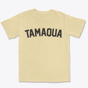Tamaqua Pennsylvania Classic Curve Premium Heavyweight T-shirt