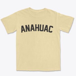 Anahuac Texas Classic Curve Premium Heavyweight T-shirt