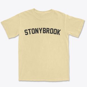 Stonybrook Pennsylvania Classic Curve Premium Heavyweight T-shirt