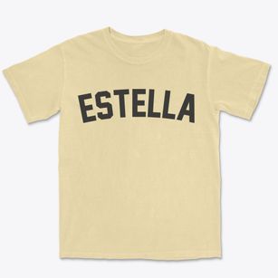 Estella Wisconsin Classic Curve Premium Heavyweight T-shirt