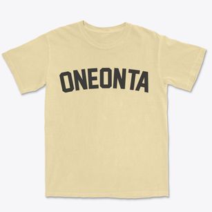 Oneonta New York Classic Curve Premium Heavyweight T-shirt