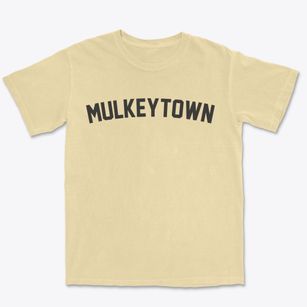 Mulkeytown Illinois Classic Curve Premium Heavyweight T-shirt
