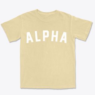 Alpha Illinois Classic Curve Premium Heavyweight T-shirt