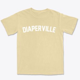 Diaperville Wisconsin Classic Curve Premium Heavyweight T-shirt