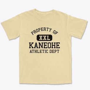 Kaneohe Hawaii Athletic Dept Premium Heavyweight T-shirt