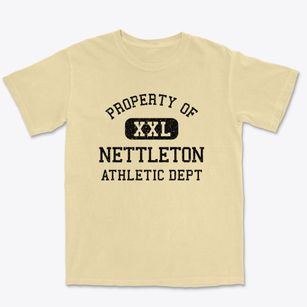Nettleton Mississippi Athletic Dept Premium Heavyweight T-shirt